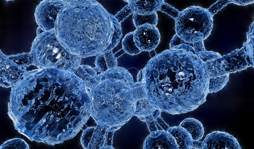 Enzymes